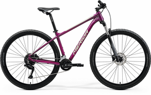 Велосипед 29" Merida Big.Nine 60 2024Велосипед 29" Merida Big.Nine 60 2024 Silk Purple (Champagne) фото