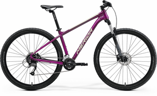 Велосипед 29" Merida Big.nine 60-2х 2023Велосипед 29" Merida Big.nine 60-2x Silk Purple (Champagne) 2023 фото
