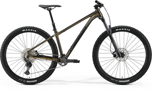 Велосипед 29" Merida Big.Trail 500 2023 Sparkling Gold (Black)Велосипед 29" Merida Big.Trail 500 2023 Sparkling Gold (Black) фото